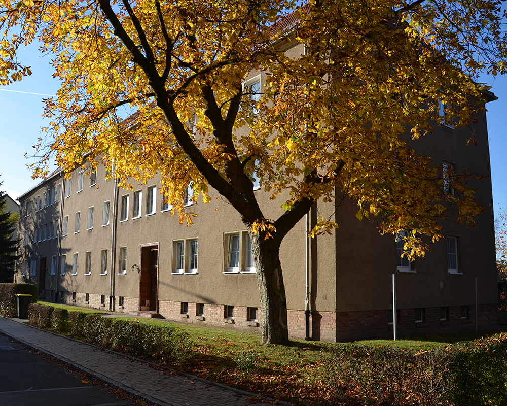 Crimmitschauer Viertel